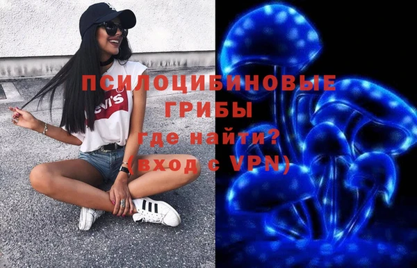 гидропоника Нязепетровск