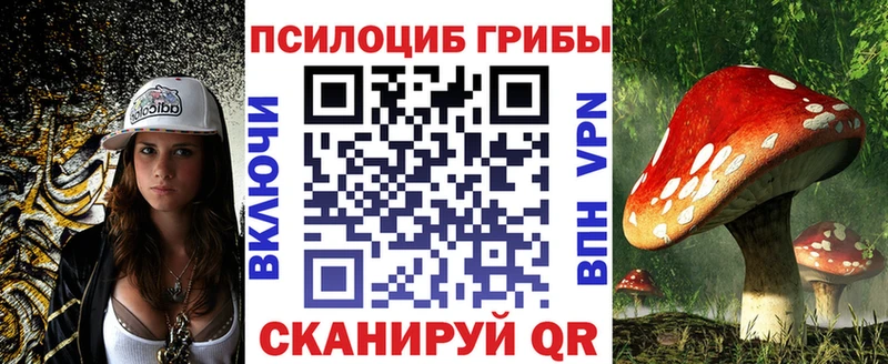 Псилоцибиновые грибы Cubensis  Кимовск 